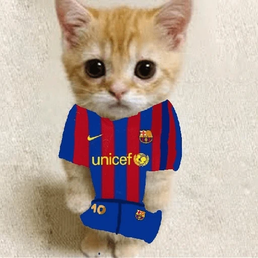 BARCELONA❤️💙