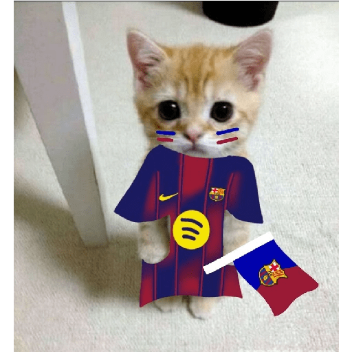 BARCELONA❤️💙 preview