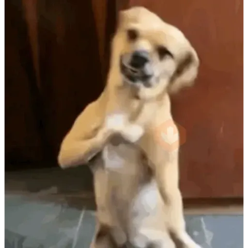 Tiktok Comment Meme sticker 11
