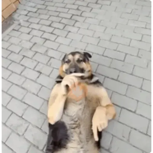 Tiktok Comment Meme sticker 15