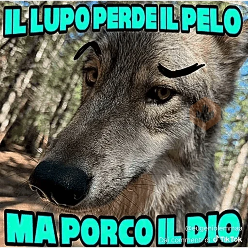 grattata italiana sticker 27