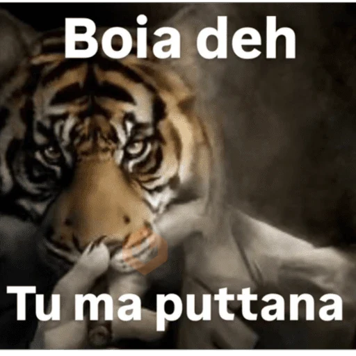 grattata italiana sticker 30