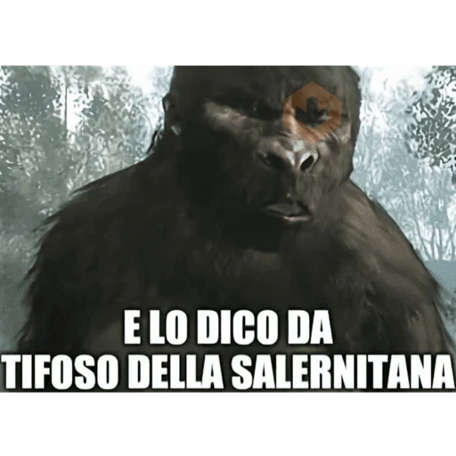 grattata italiana sticker 19