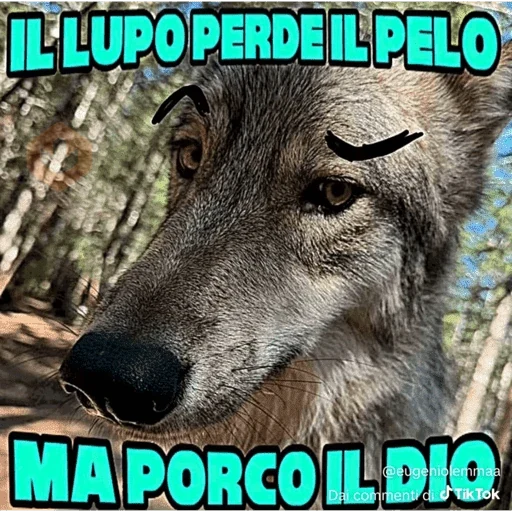 grattata italiana sticker 26