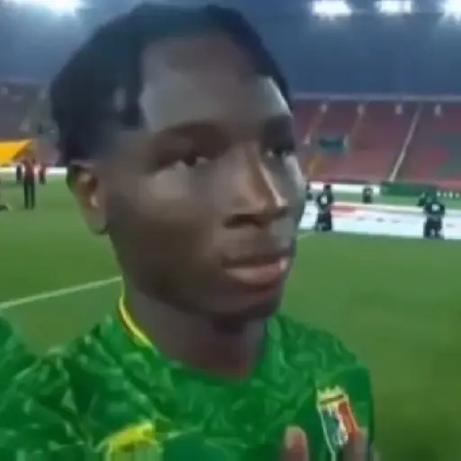 fulbo animado 3