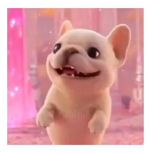 Perro Pibble de Tiktok 🐶🐾