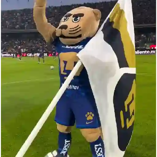 pumas⚽️