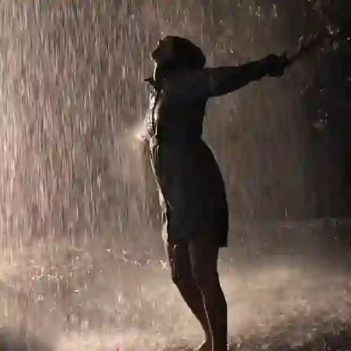 ☔ Lluvia |Rain 🌧️