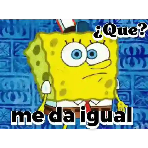 bod esponja