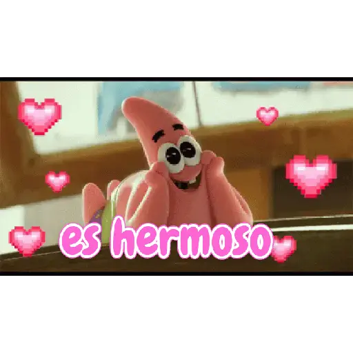 bod esponja