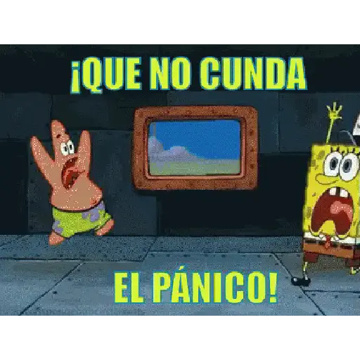 bod esponja