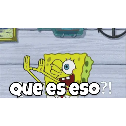 bod esponja