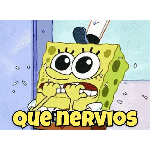 bod esponja