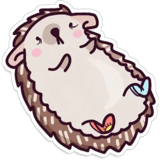 🌈Erizo Kawaii🦔💜 