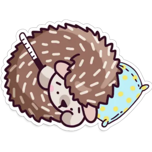 🌈Erizo Kawaii🦔💜 