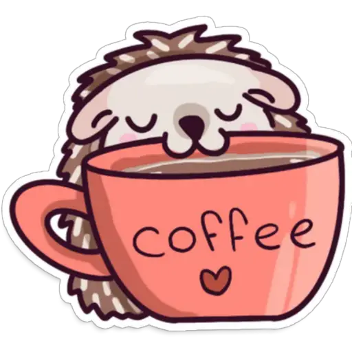 🌈Erizo Kawaii🦔💜 