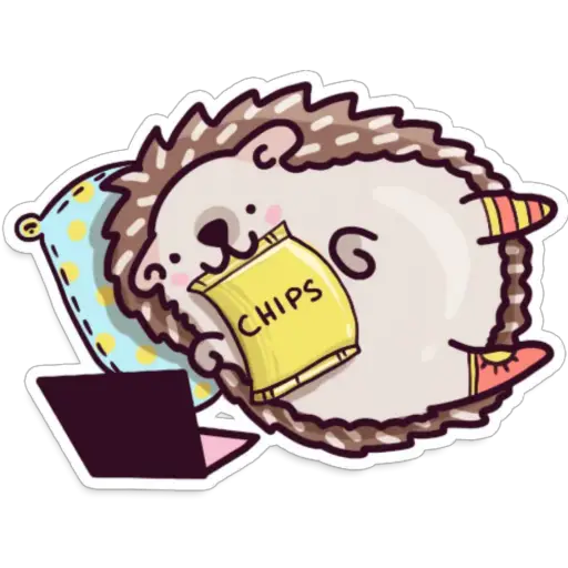 🌈Erizo Kawaii🦔💜 
