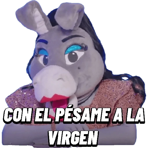 Burrita Burrona