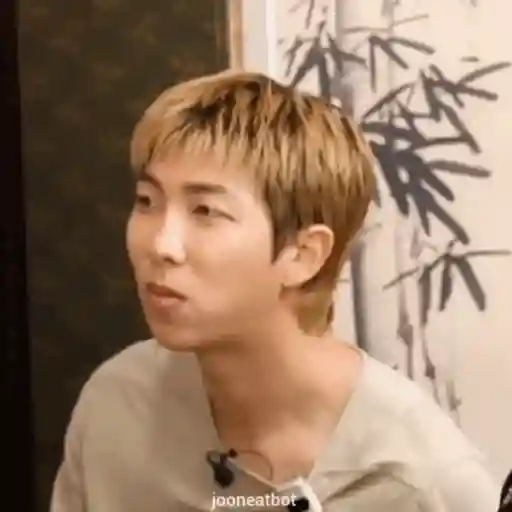 RM (BTS) 🐨