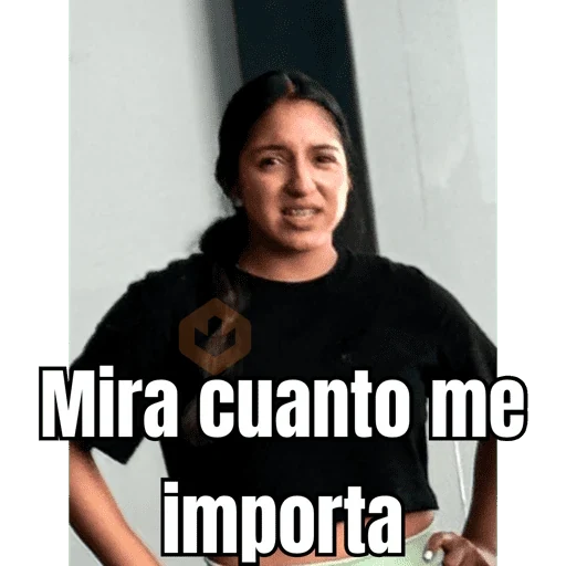 Mis pegatinas sticker 24