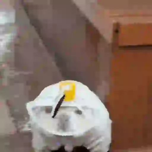 Lluvia 🌧️