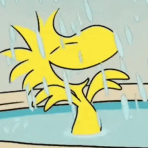 Lluvia 🌧️