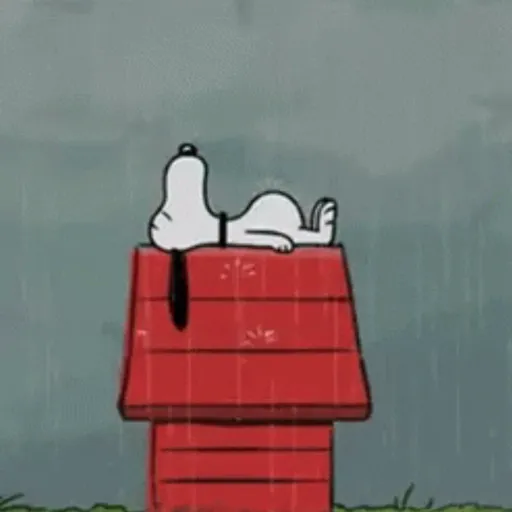 Lluvia 🌧️