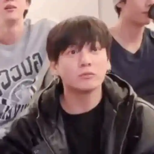 Jungkook (BTS) 🐰