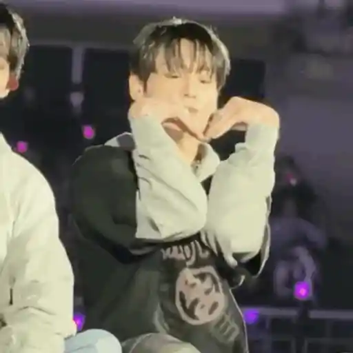 Jungkook (BTS) 🐰