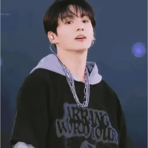 Jungkook (BTS) 🐰