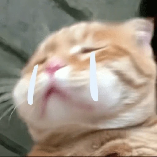 🤪 Stickers Random 2🤪