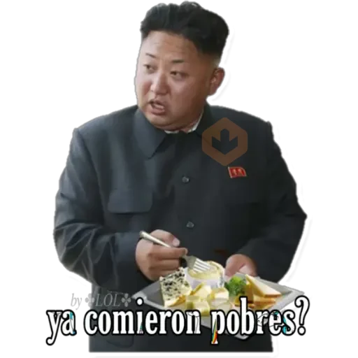KIM YONG UN norcorean sticker 24