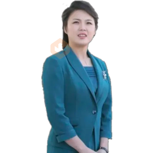 KIM YONG UN norcorean sticker 13