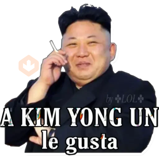 KIM YONG UN norcorean sticker 22