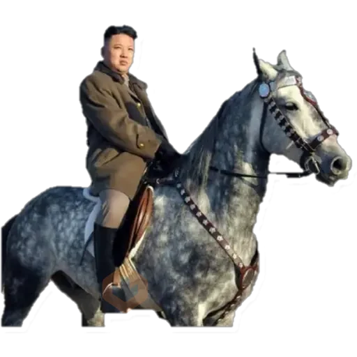 KIM YONG UN norcorean sticker 26