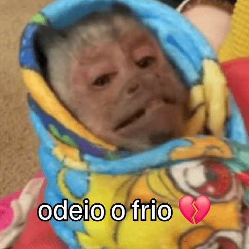 Macaquinhos + frio