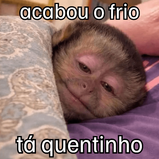 Macaquinhos + frio preview