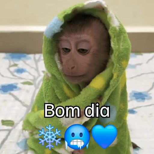 Macaquinhos + frio preview