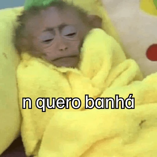 Macaquinhos + frio