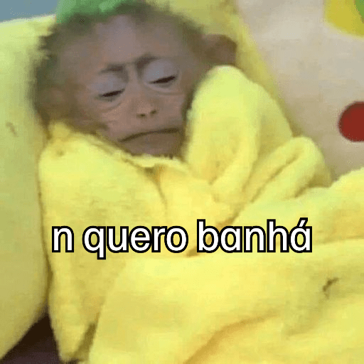 Macaquinhos + frio preview