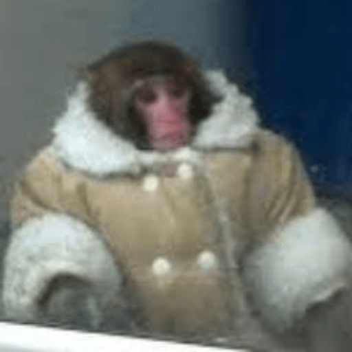 Macaquinhos + frio preview