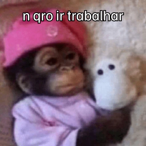 Macaquinhos + frio