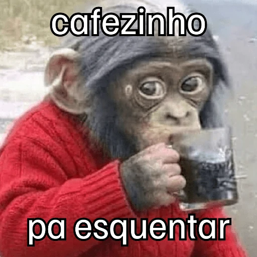 Macaquinhos + frio