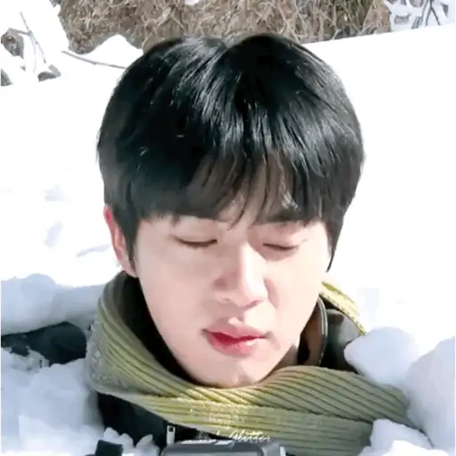 JIN (BTS) 🐹