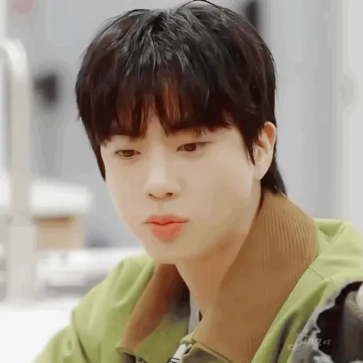 JIN (BTS) 🐹