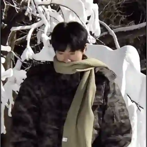 JIN (BTS) 🐹