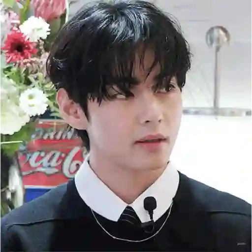 V (BTS) 🐯