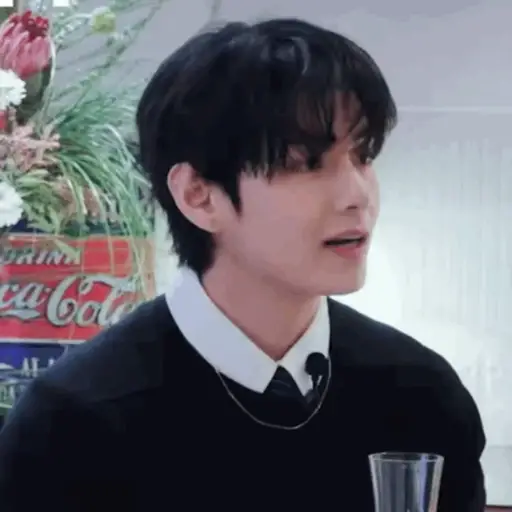 V (BTS) 🐯