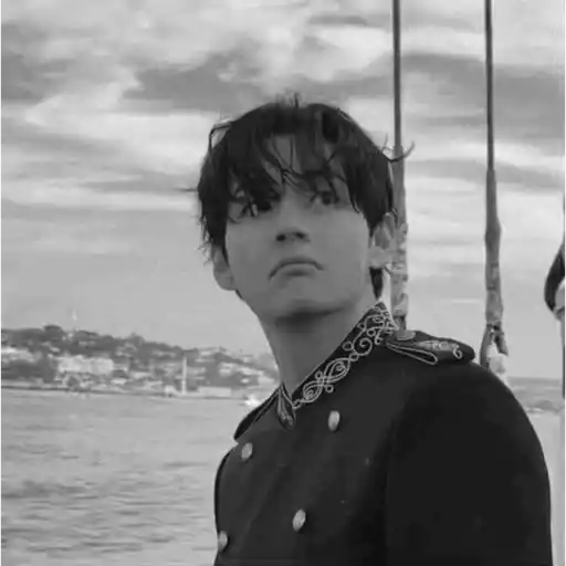 V (BTS) 🐯
