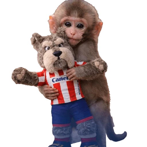 Punch Liga MX